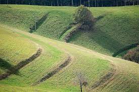 Prevenční program: biodiverzita