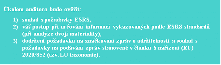 auditor úkoly